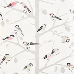 A-TWITTER BLUSH Schumacher Wallpaper wallpaper - SKU 5005032