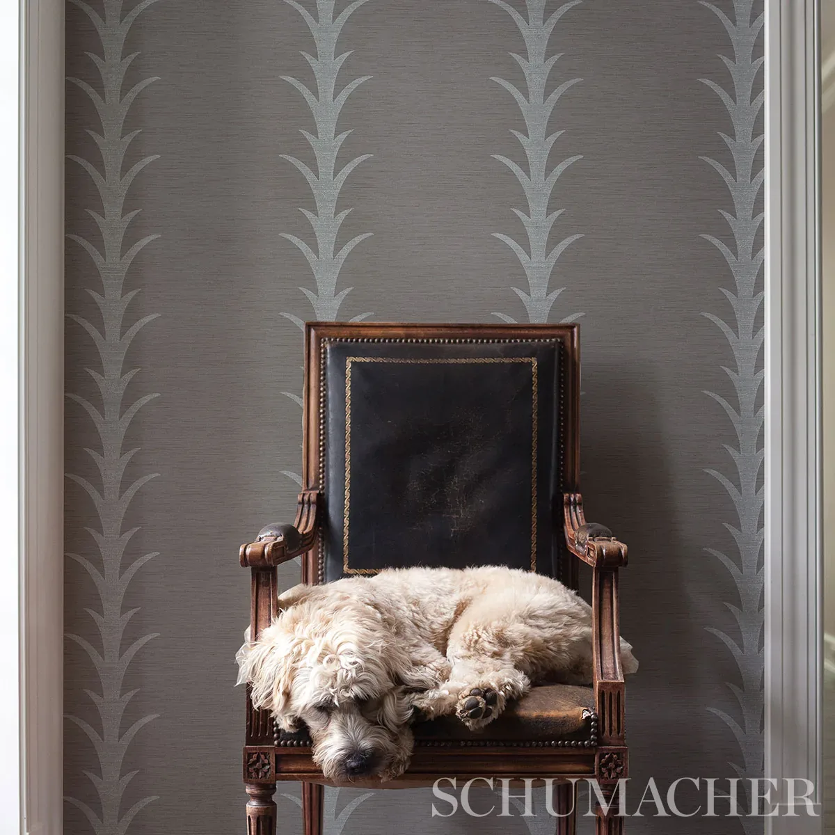 ACANTHUS STRIPE VINYL - GREY Schumacher Wallpaper | Wallpape ACANTHUS STRIPE VINYL GREY Schumacher Wallpaper wallpaper - SKU 5008593