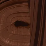 AGATE SLICE - TIGERS EYE Schumacher Wallpaper | Wallpaper Tw AGATE SLICE TIGERS EYE Schumacher Wallpaper wallpaper - SKU 5013893