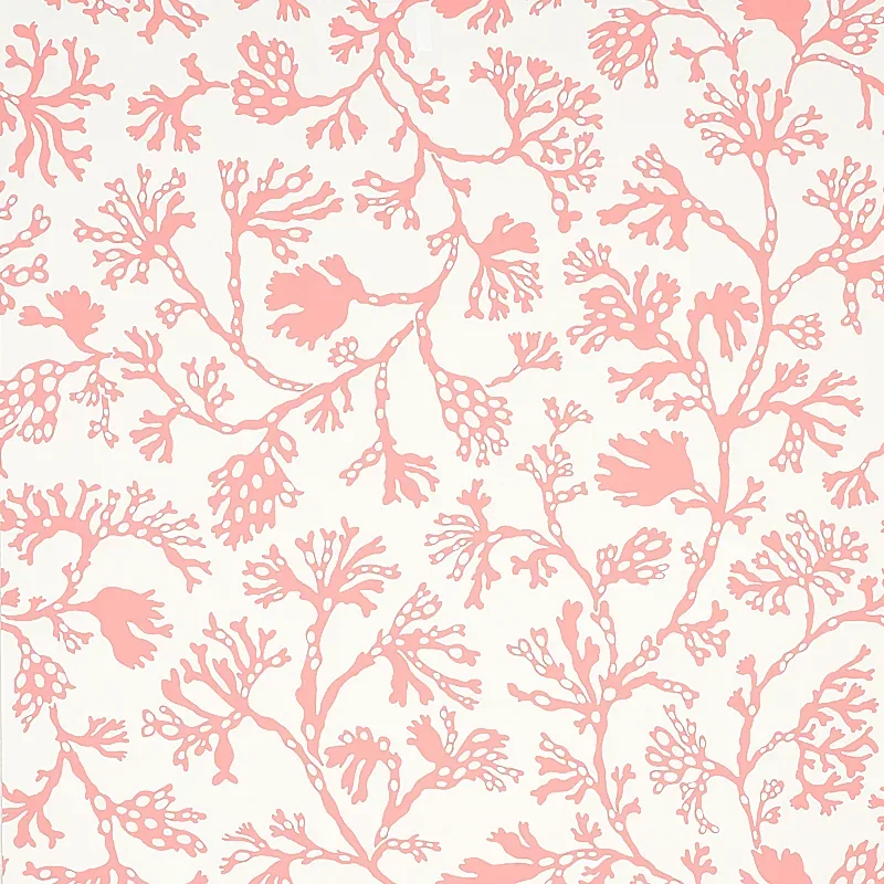 ANTHOZA CORAL Schumacher Wallpaper wallpaper - SKU 5012132