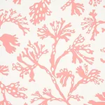 ANTHOZA CORAL Schumacher Wallpaper wallpaper - SKU 5012132