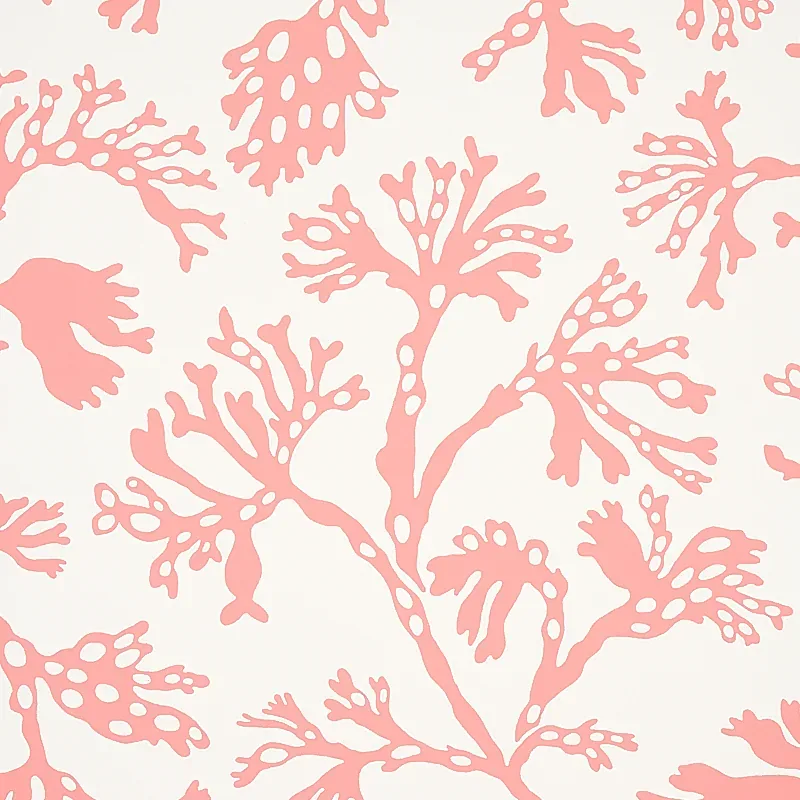 ANTHOZA CORAL Schumacher Wallpaper wallpaper - SKU 5012132