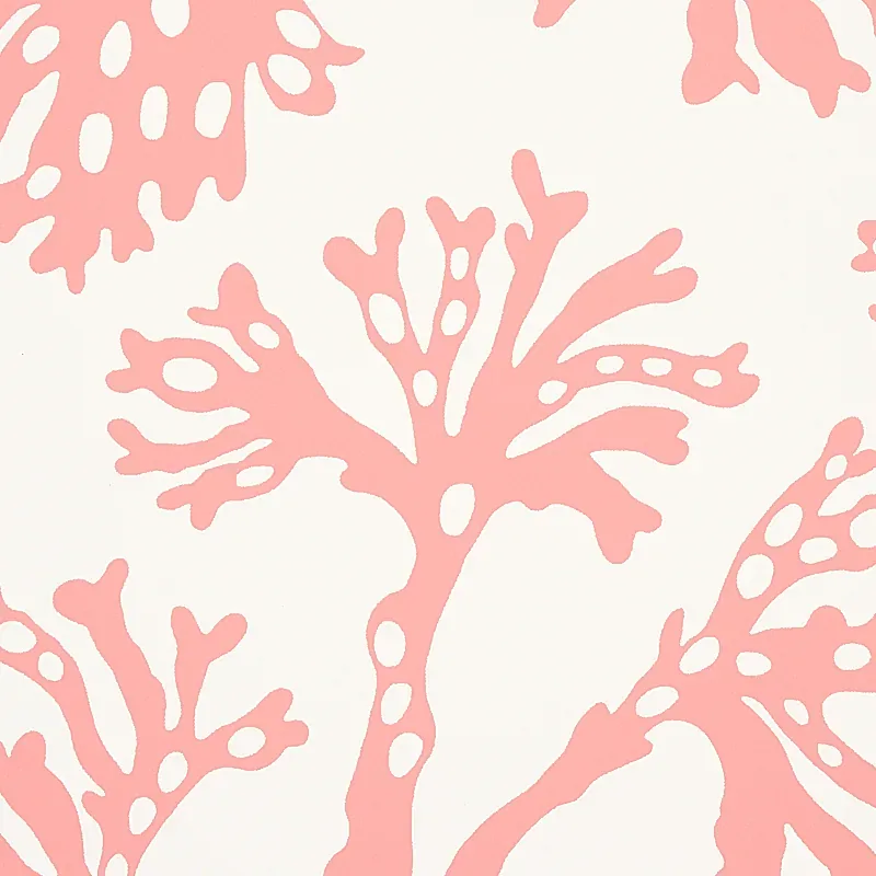 ANTHOZA CORAL Schumacher Wallpaper wallpaper - SKU 5012132