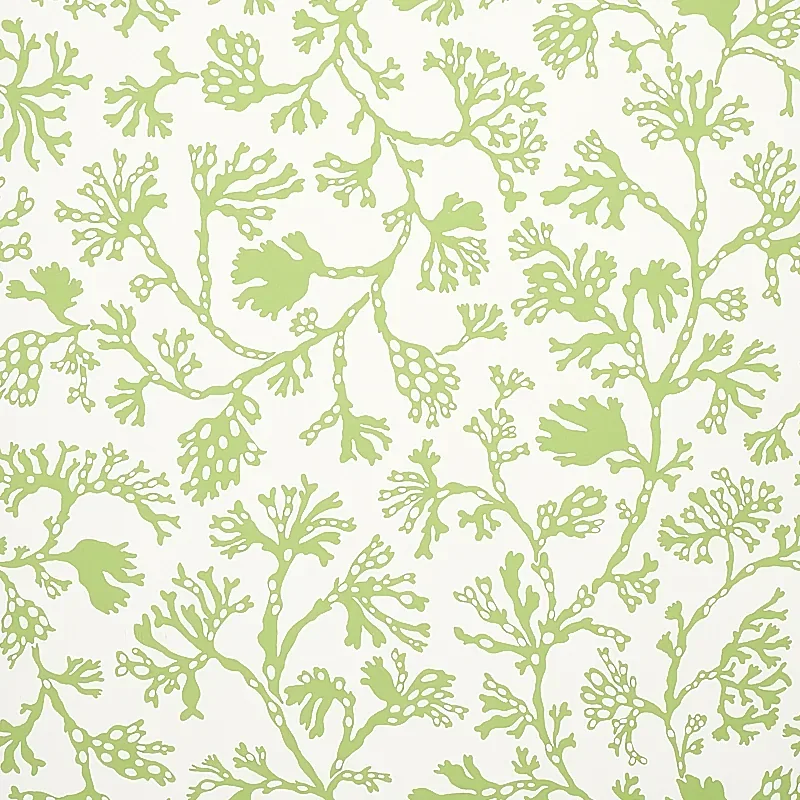 ANTHOZA GREEN Schumacher Wallpaper wallpaper - SKU 5012131