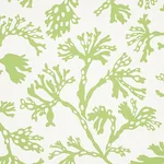 ANTHOZA GREEN Schumacher Wallpaper wallpaper - SKU 5012131