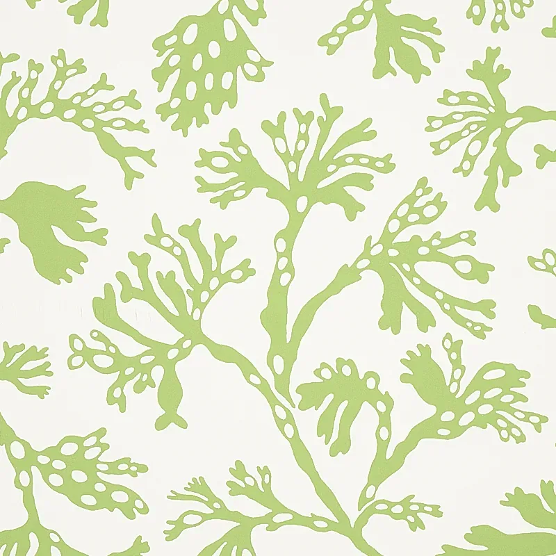 ANTHOZA GREEN Schumacher Wallpaper wallpaper - SKU 5012131