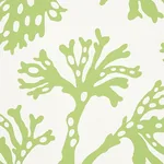 ANTHOZA GREEN Schumacher Wallpaper wallpaper - SKU 5012131