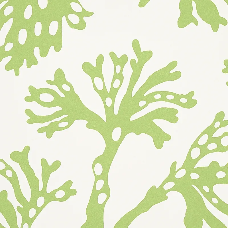 ANTHOZA GREEN Schumacher Wallpaper wallpaper - SKU 5012131