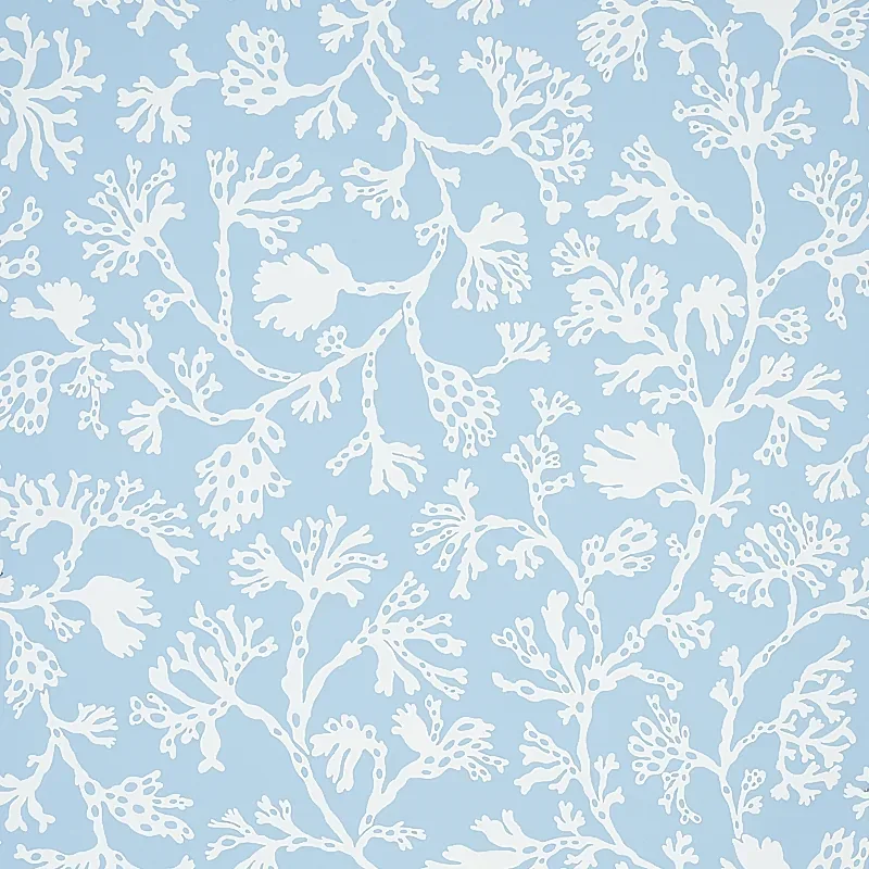 ANTHOZA SKY Schumacher Wallpaper wallpaper - SKU 5012130