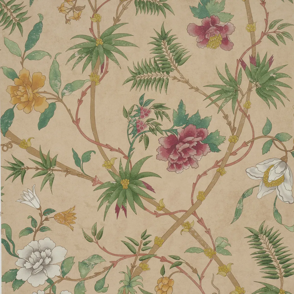 ARASI BOTANICAL CORAL Schumacher Wallpaper wallpaper - SKU 5017170