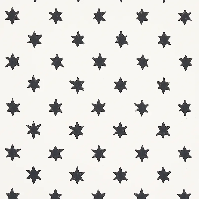 ASTRAL BLACK Schumacher Wallpaper wallpaper - SKU 5013140
