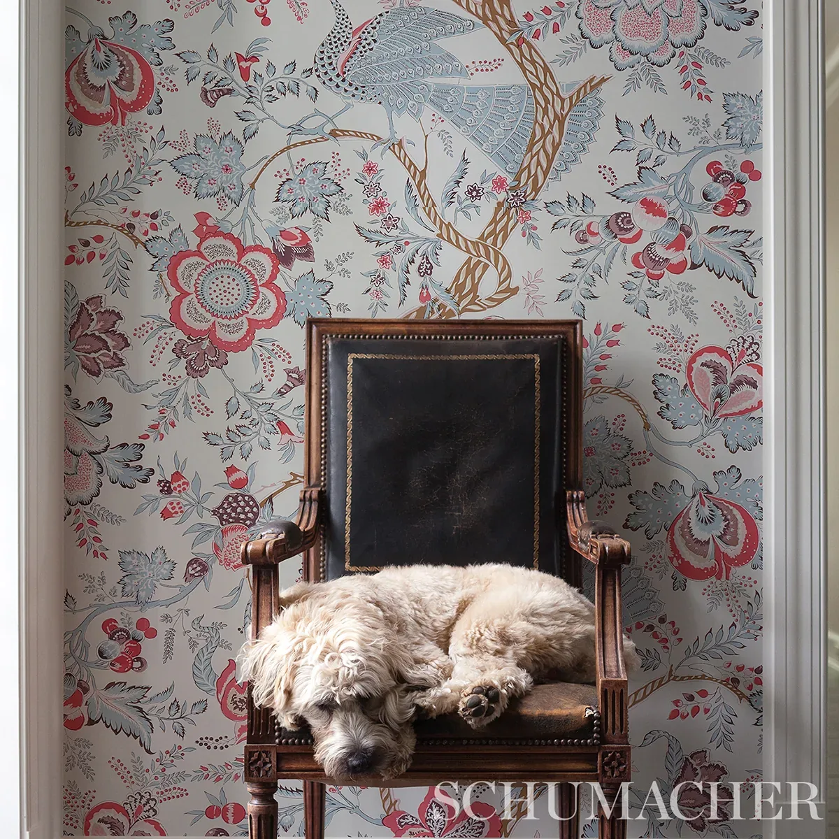 AVELINE ROSE Schumacher Wallpaper wallpaper - SKU 5013192