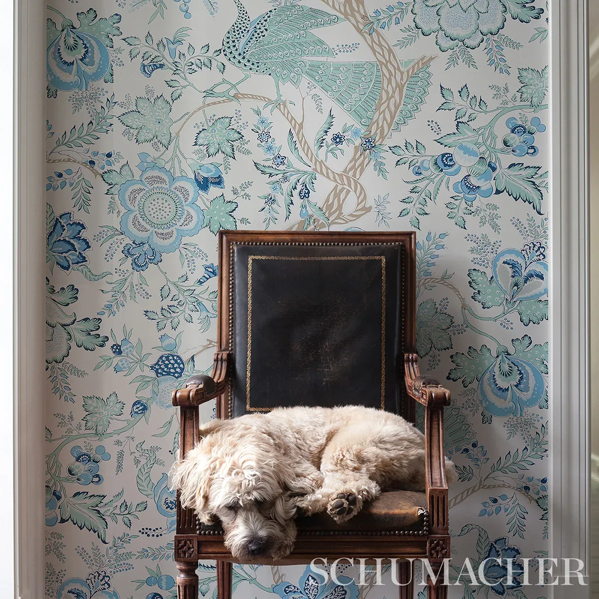 AVELINE SEAGLASS Schumacher Wallpaper wallpaper - SKU 5013190