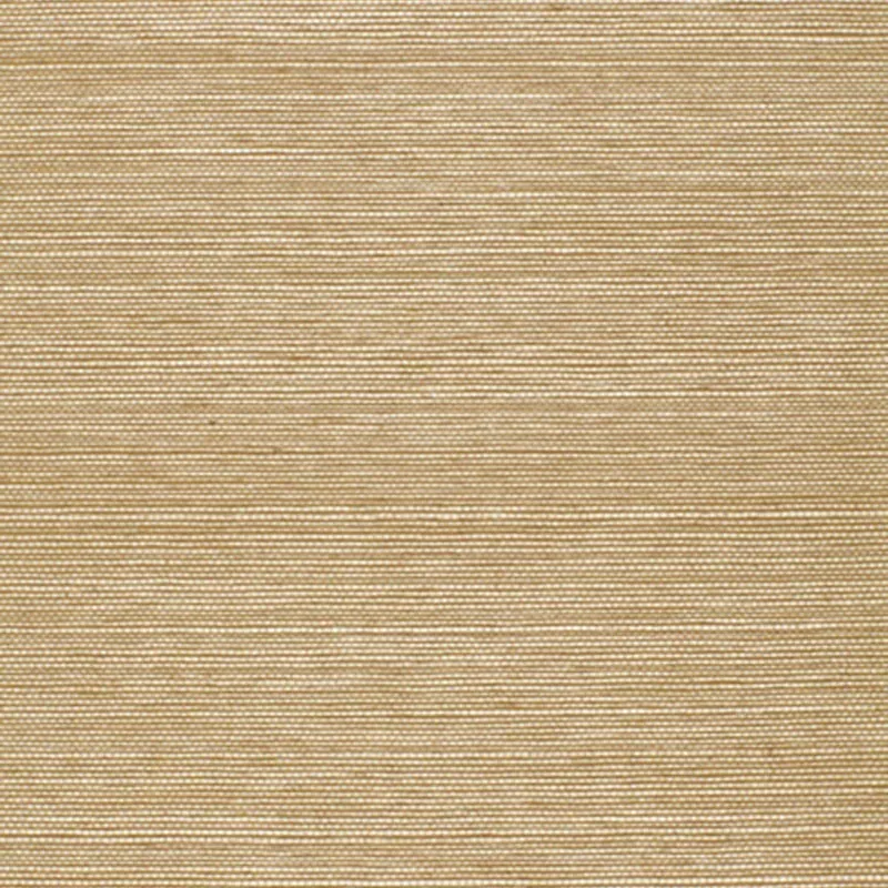AYAME SISAL SAGE Schumacher Wallpaper wallpaper - SKU 5002905