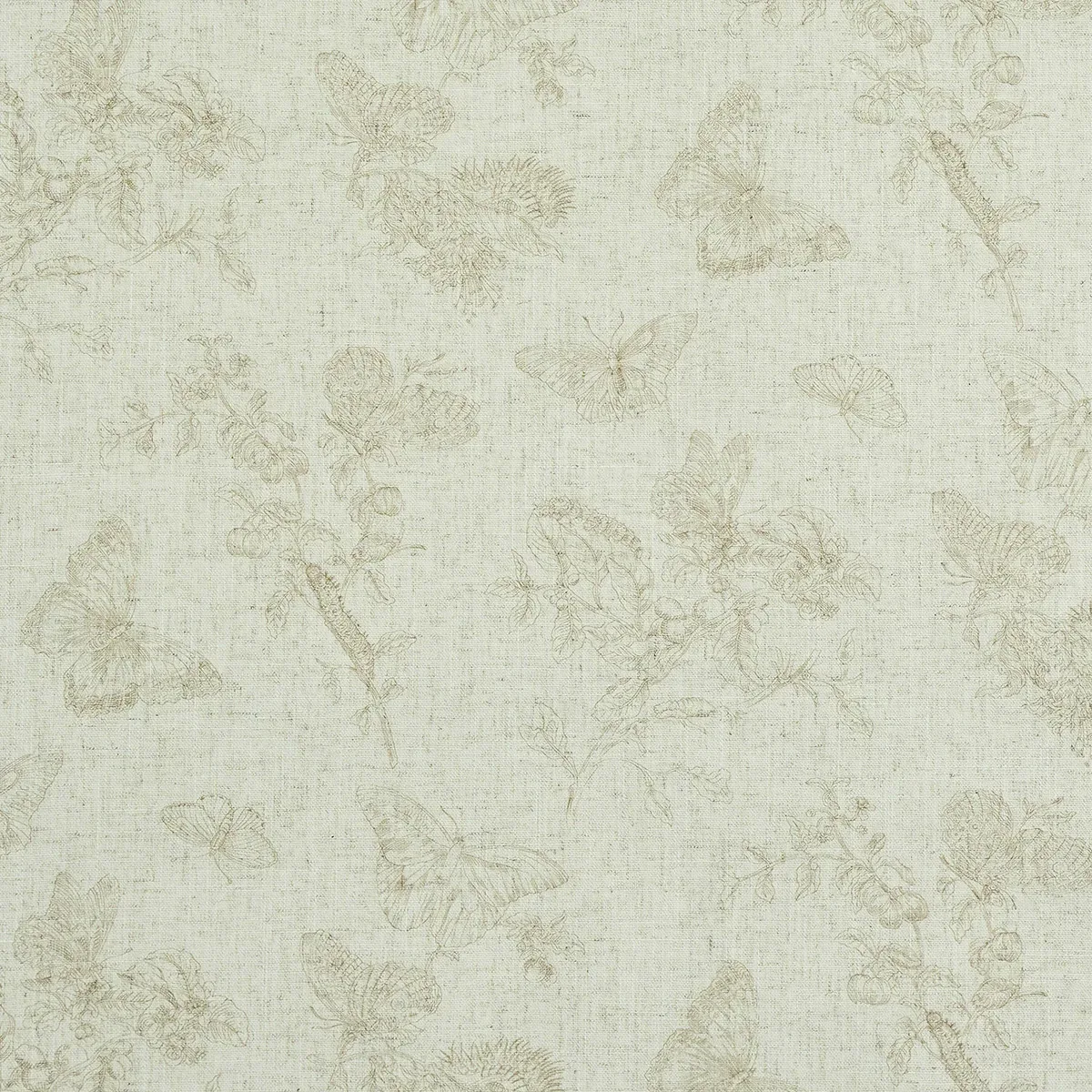 5011832 | BAUDIN BUTTERFLY LINEN – NATURAL