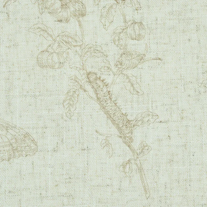 BAUDIN BUTTERFLY LINEN NATURAL Schumacher Wallpaper wallpaper - SKU 5011832