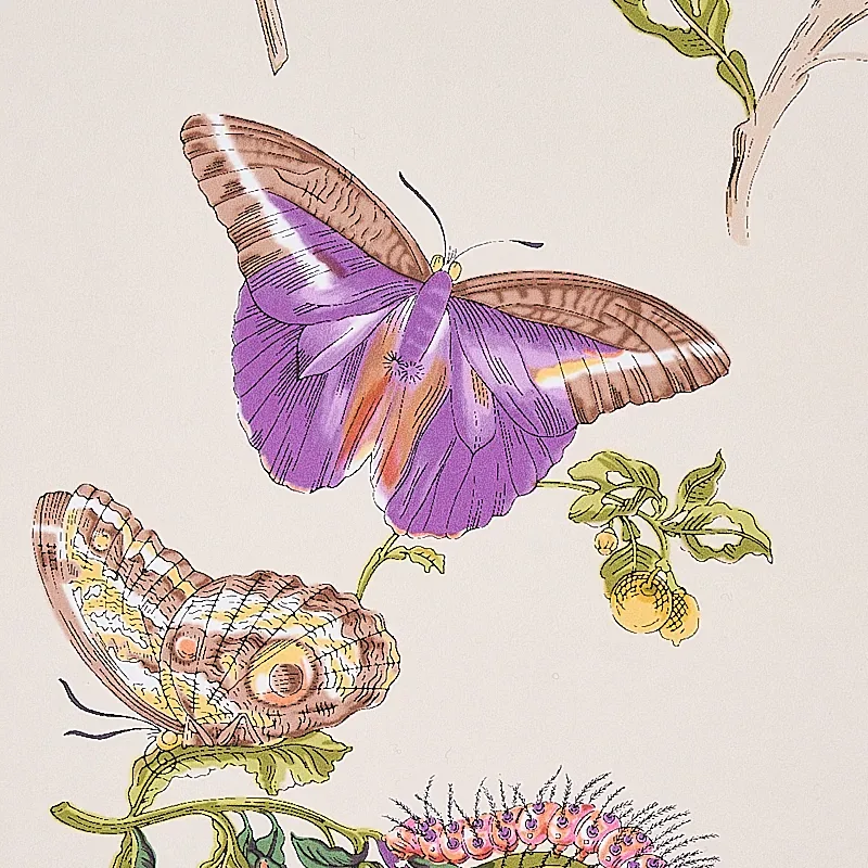 Schumacher BAUDIN BUTTERFLY - PURPLE Wallpaper | Buy Online SKU 5010692