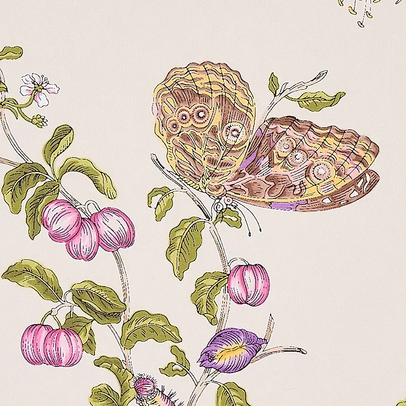Schumacher BAUDIN BUTTERFLY - PURPLE Wallpaper | Buy Online Schumacher BAUDIN BUTTERFLY wallpaper