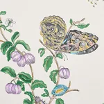 Schumacher BAUDIN BUTTERFLY - TURQUOISE Wallpaper | Buy Online Schumacher BAUDIN BUTTERFLY wallpaper