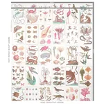 BAUHIN - SOFT MULTI Schumacher Wallpaper | Wallpaper Twins BAUHIN SOFT MULTI Schumacher Wallpaper wallpaper - SKU 5012091