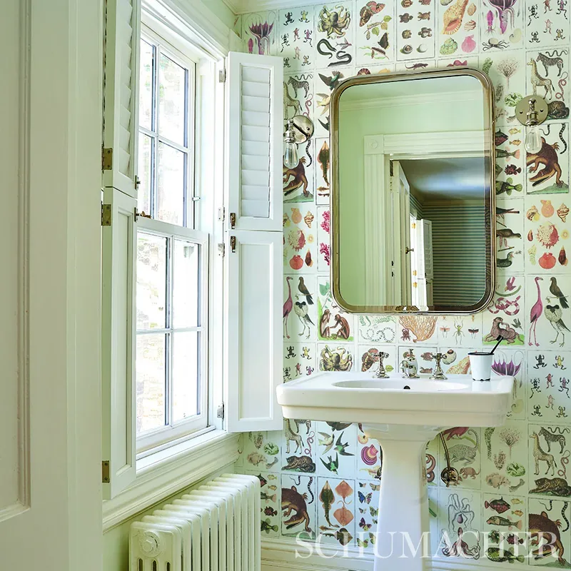 BAUHIN - SOFT MULTI Schumacher Wallpaper | Wallpaper Twins BAUHIN SOFT MULTI Schumacher Wallpaper wallpaper - SKU 5012091
