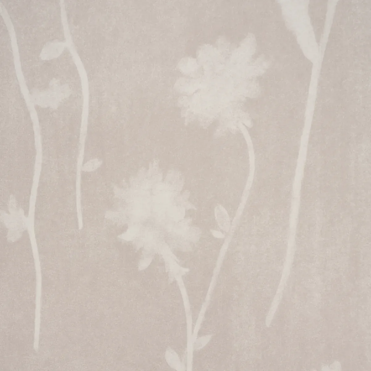 BEFORE MIDNIGHT LIGHT BEIGE Schumacher Wallpaper wallpaper - SKU 5017362
