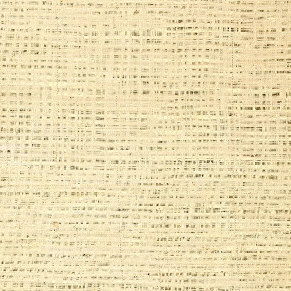 BELLEZZA GROUND - WHITEWASH Schumacher Wallpaper | Wallpaper BELLEZZA GROUND WHITEWASH Schumacher Wallpaper wallpaper - SKU 528945