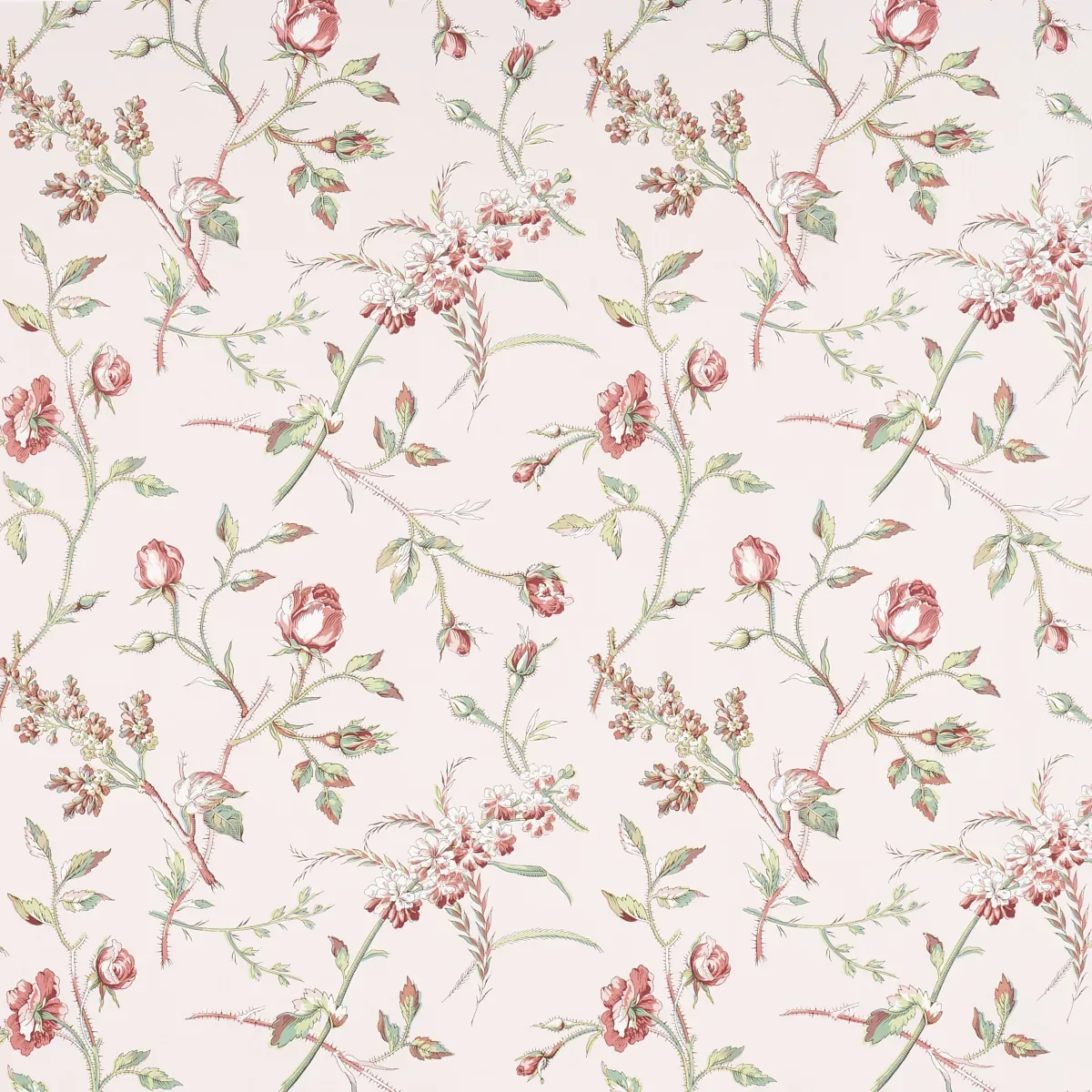 BELUZE BLUSH Schumacher Wallpaper wallpaper - SKU 5011981