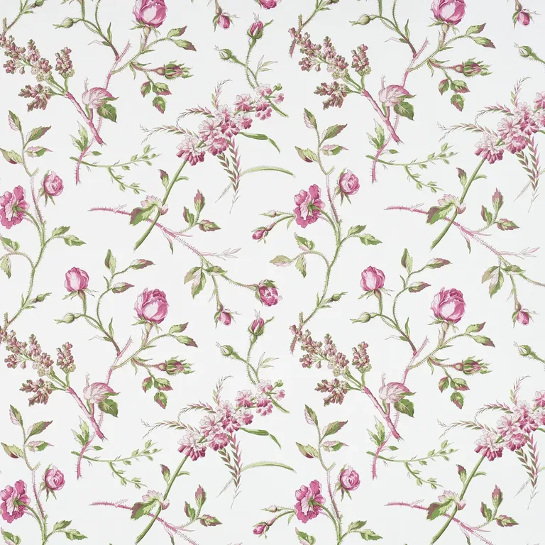 Schumacher BELUZE wallpaper