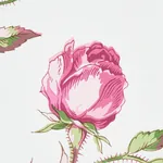 BELUZE MAGENTA Schumacher Wallpaper wallpaper - SKU 5011982