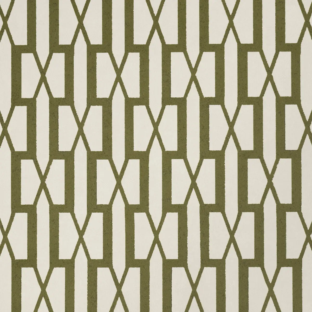 5015910 | BELVEDERE – OLIVE