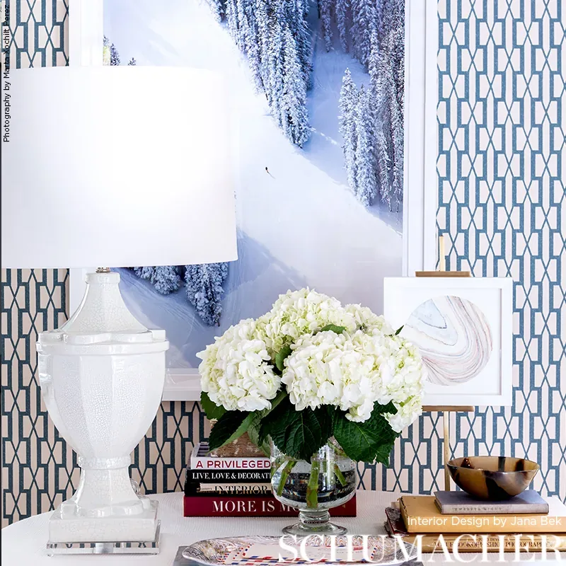 BELVEDERE SKY Schumacher Wallpaper wallpaper - SKU 5007997