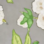 BERMUDA BLOSSOMS SLATE Schumacher Wallpaper wallpaper - SKU 5010521