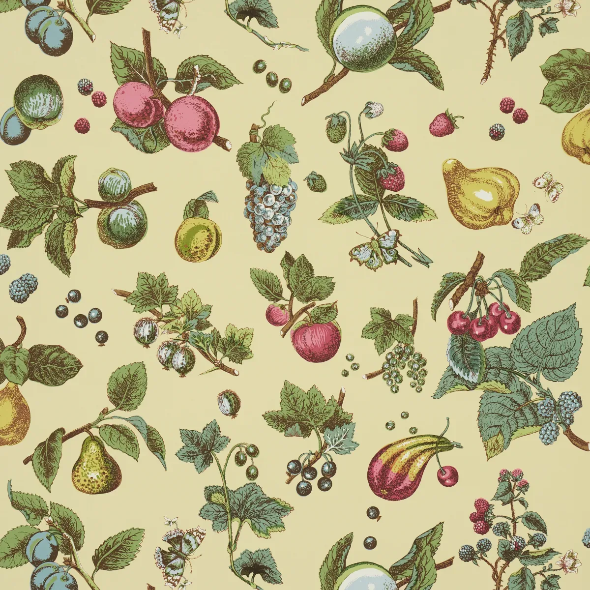 BERRY GROVE BUTTER Schumacher Wallpaper wallpaper - SKU 5015650