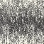 BIRCHES BLACK/WHITE Schumacher Wallpaper wallpaper - SKU 2707243