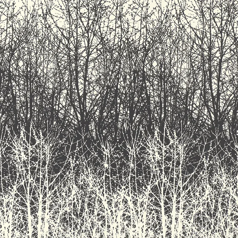 BIRCHES BLACK/WHITE Schumacher Wallpaper wallpaper - SKU 2707243
