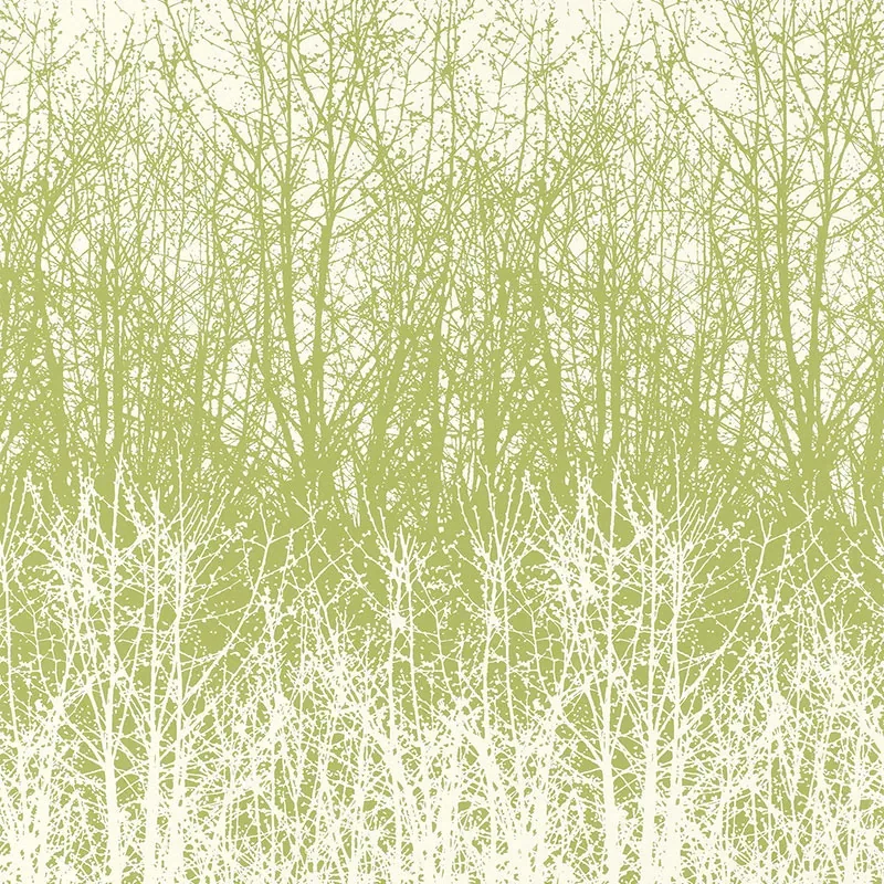 2707242 | BIRCHES – LEAF/WHITE