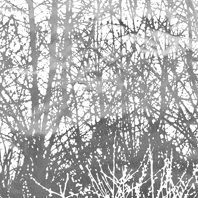 BIRCHES SILVER Schumacher Wallpaper wallpaper - SKU 2707244