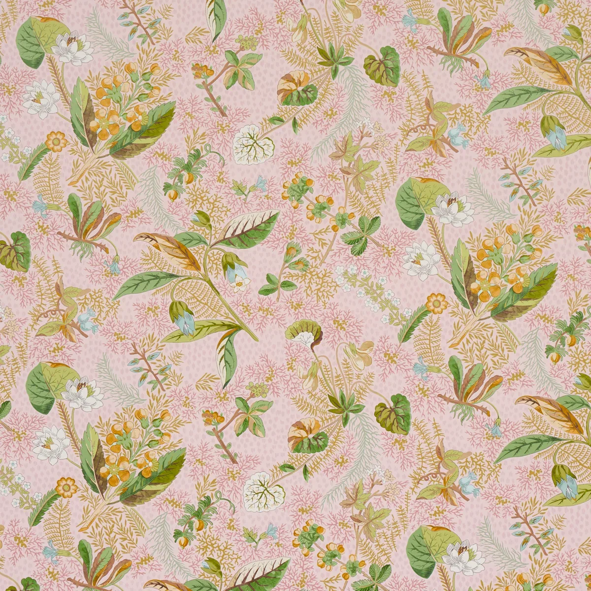 5013220 | BLACKWELL – BLUSH