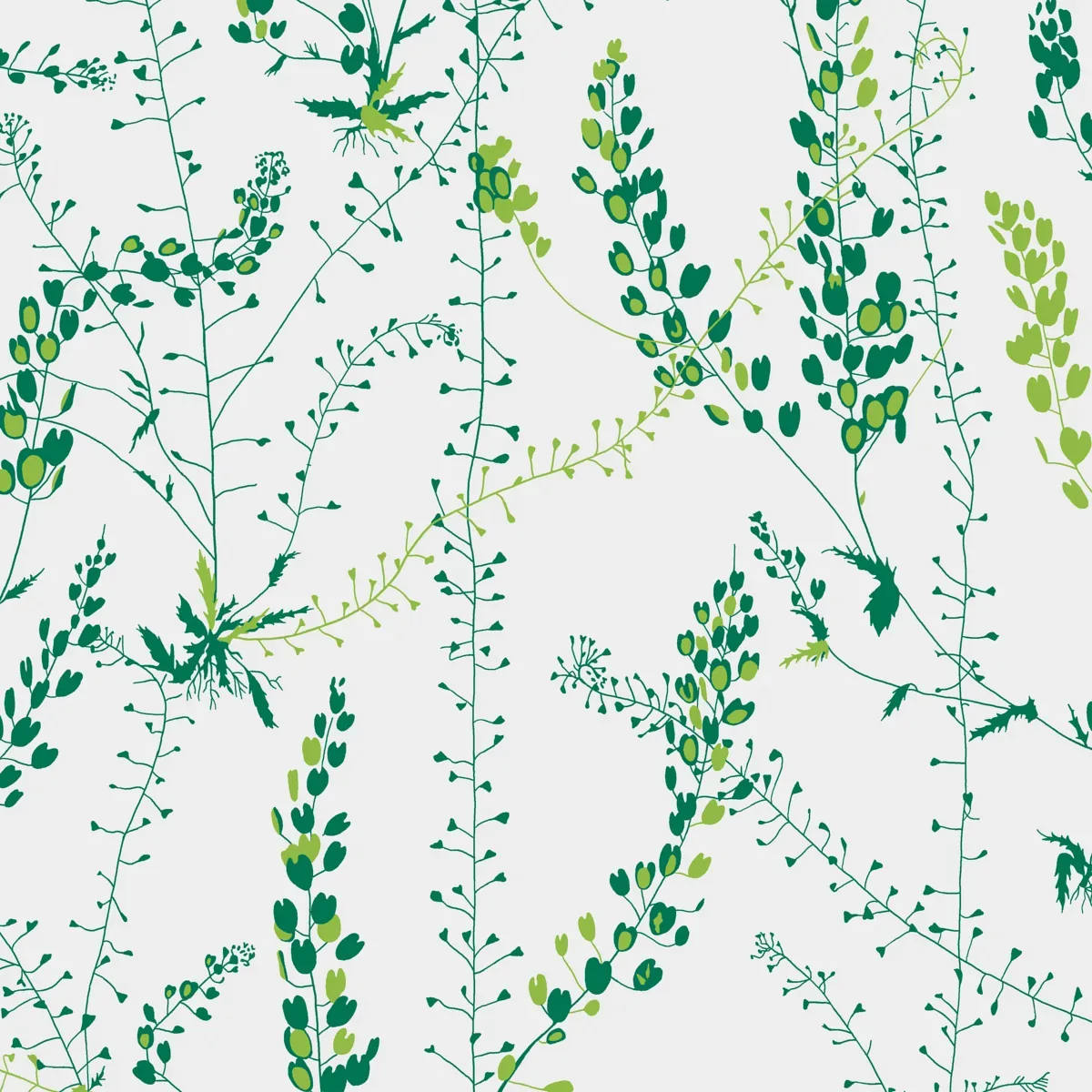 BLADRANKER LEAF Schumacher Wallpaper wallpaper - SKU 1787