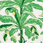 BLAIR HOUSE PALM GREEN Schumacher Wallpaper wallpaper - SKU 5004064