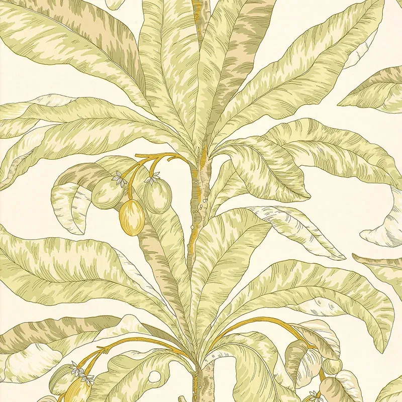 5004062 | BLAIR HOUSE PALM – KIWI
