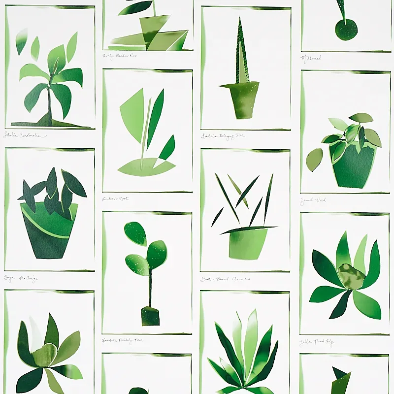 BOTANICALS