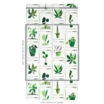 BOTANICALS - GREENHOUSE Schumacher Wallpaper | Wallpaper Twi BOTANICALS GREENHOUSE Schumacher Wallpaper wallpaper - SKU 5012691
