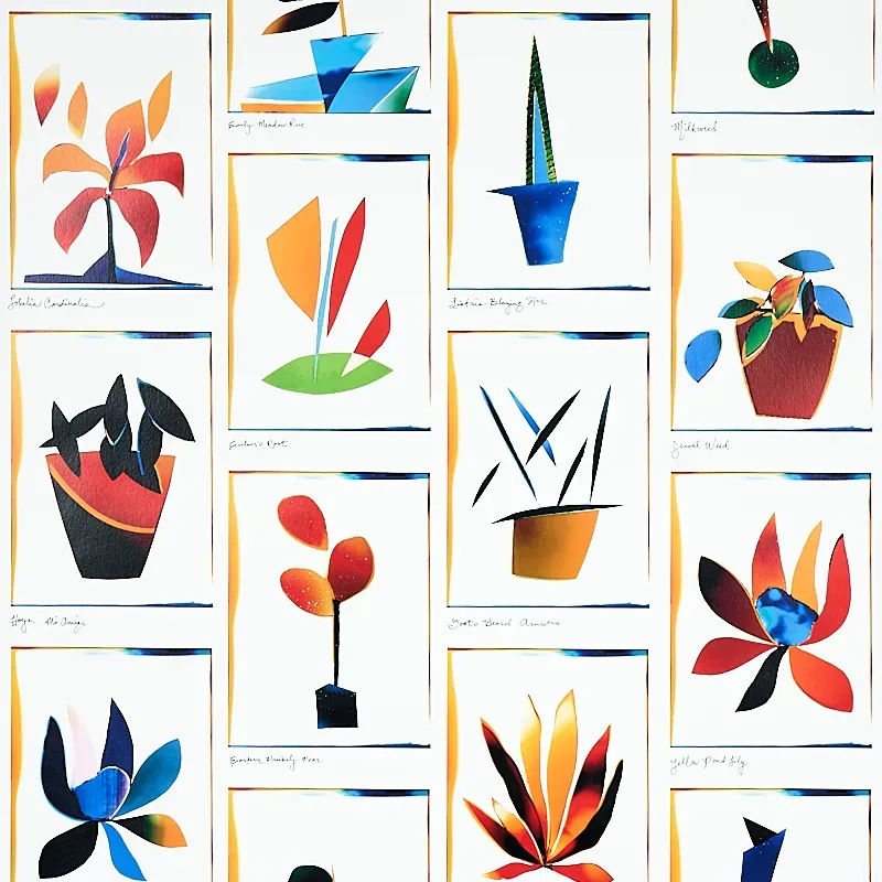 BOTANICALS