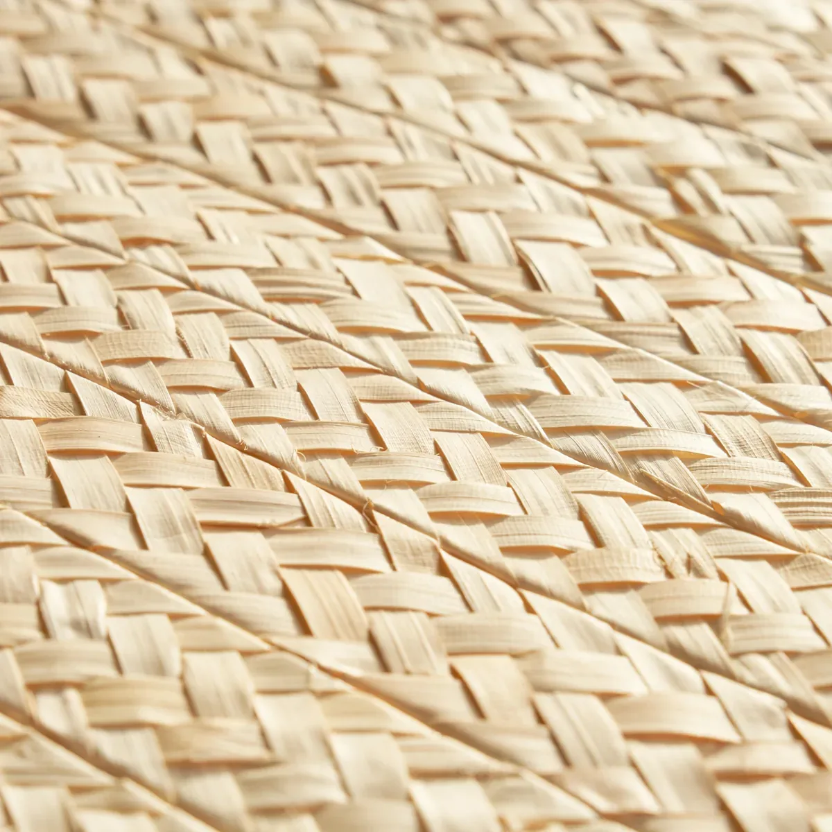 BRAIDED BURI NATURAL Schumacher Wallpaper wallpaper - SKU 5010190