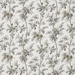 BRANTWOOD VINE GRAPHITE Schumacher Wallpaper wallpaper - SKU 5016352