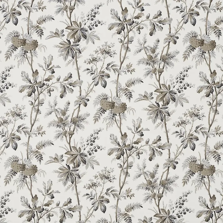 Schumacher BRANTWOOD VINE wallpaper, color GRAPHITE, SKU 5016352