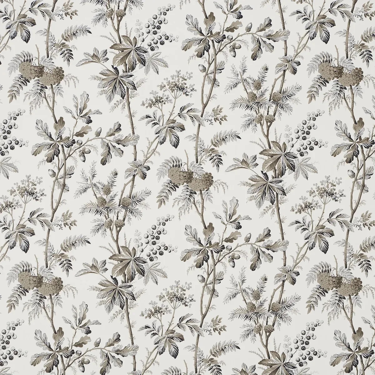BRANTWOOD VINE GRAPHITE Schumacher Wallpaper wallpaper - SKU 5016352