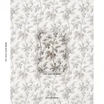 BRANTWOOD VINE GRAPHITE Schumacher Wallpaper wallpaper - SKU 5016352